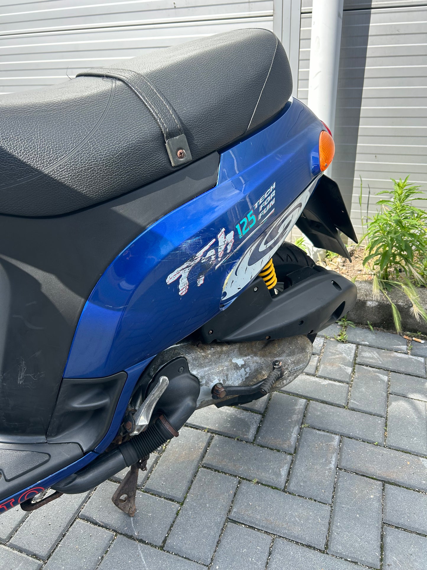 Piaggio Typhoon 125CC 2Takt | Duitse A1